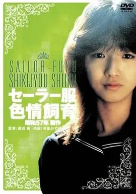 蜂鸟电影网剧情电影无声放映厅海报